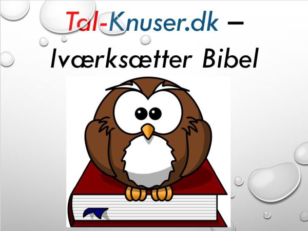 Tal-knuser.dk - Iværksætter - Bibel